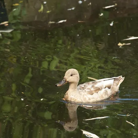 Apartmán Canal Garden Staywell Amsterdam