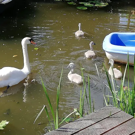 Apartment Canal Garden Staywell *