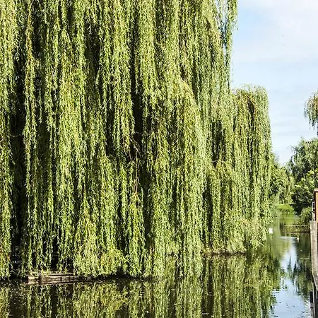 Canal Garden Staywell *