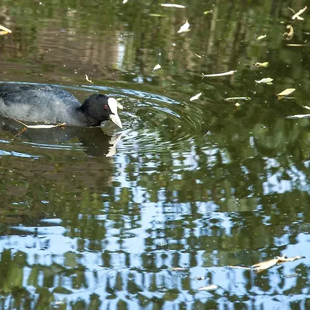 Canal Garden Staywell Appartamento Amsterdam
