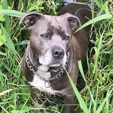 Appartamento Canal Garden Staywell