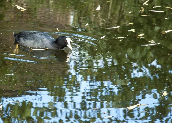 Canal Garden Staywell Lejlighed Amsterdam