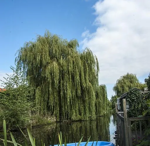 Canal Garden Staywell Amsterdam