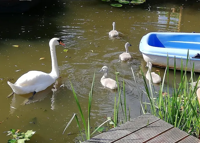 Lejlighed Canal Garden Staywell *