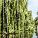 Canal Garden Staywell *
