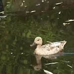Lägenhet Canal Garden Staywell Amsterdam