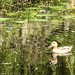 Lägenhet Canal Garden Staywell