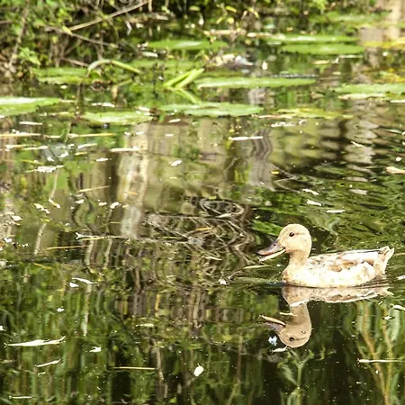 Appartement Canal Garden Staywell