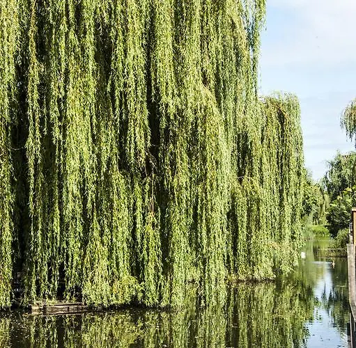 Canal Garden Staywell *