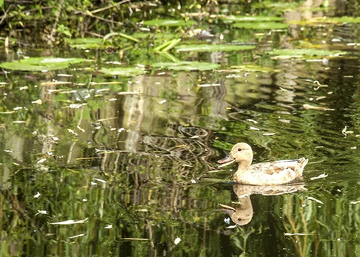 アパート Canal Garden Staywell