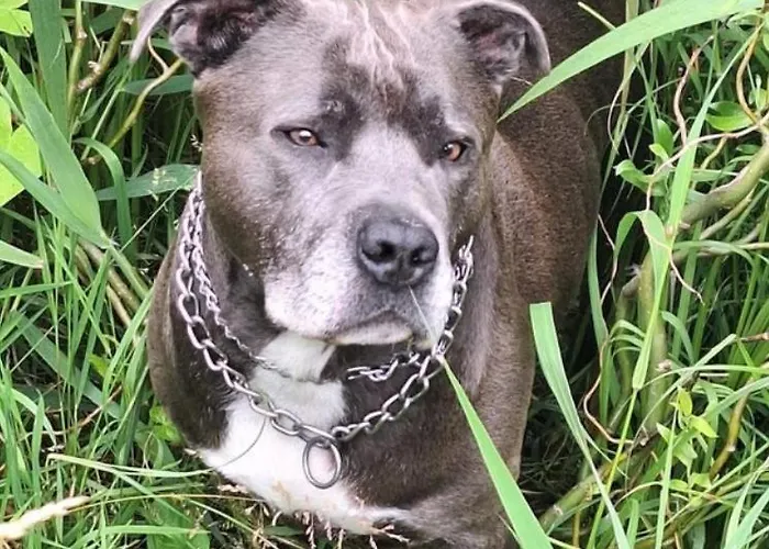 アパート Canal Garden Staywell